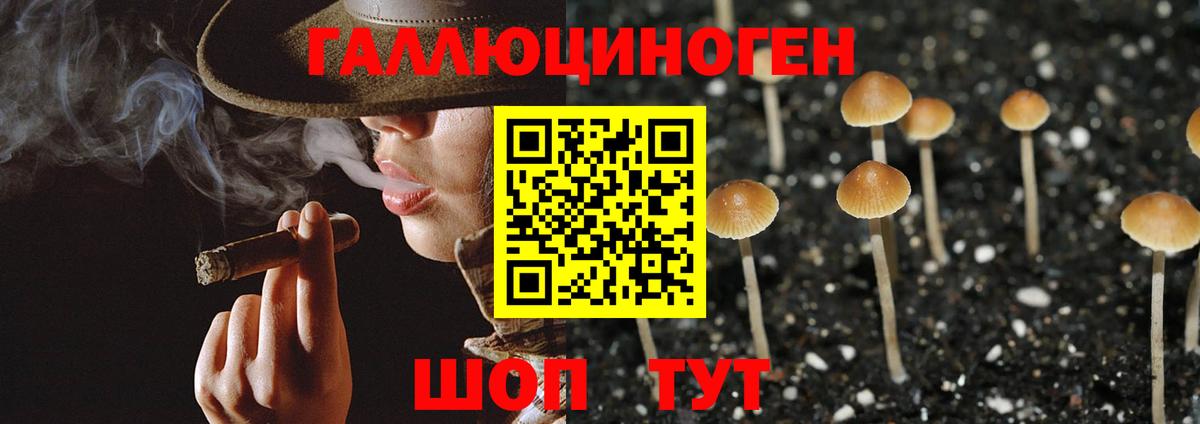 Лабинск  Галлюциногенные грибы мицелий  Вход с VPN  Псилоцибиновые грибы GOLDEN TEACHER 